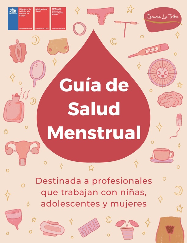 Guía de Salud Menstrual. Destinada a profesionales que trabajan con niñas, adolescentes y mujeres.