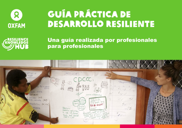 Justicia de género y resiliencia: En la práctica