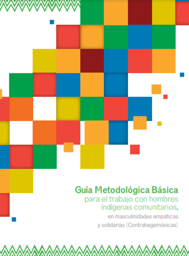 Guía Metodológica Básica para el trabajo con hombres indígenas comunitarios, en masculinidades empáticas y solidarias (Contrahegemónicas)