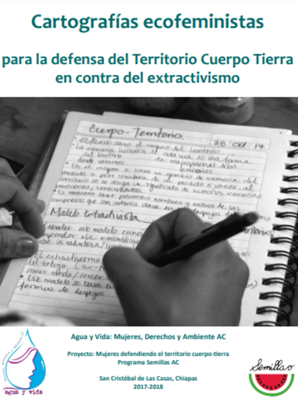 Cartografías Ecofeministas para la defensa del territorio cuerpo tierra
