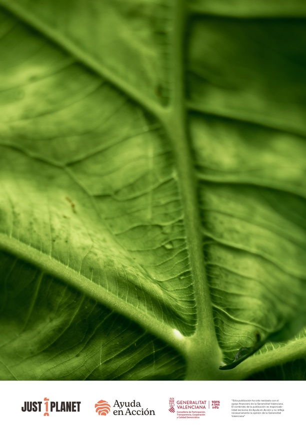 Ecofeminismo. Guía Educativa de Secundaria