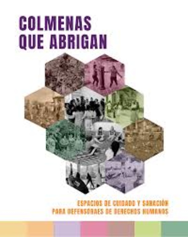 Colmenas que abrigan: Experiencias de protección colectiva feminista en Mesoamérica